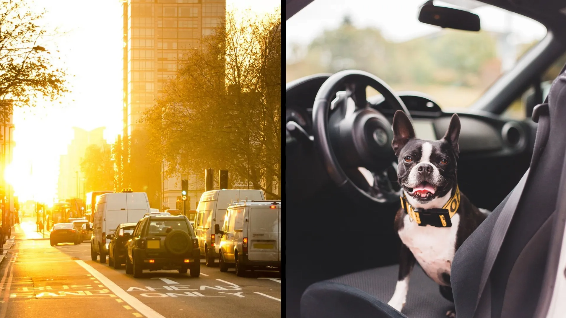 What kind of driver are you? Take our quiz to find out