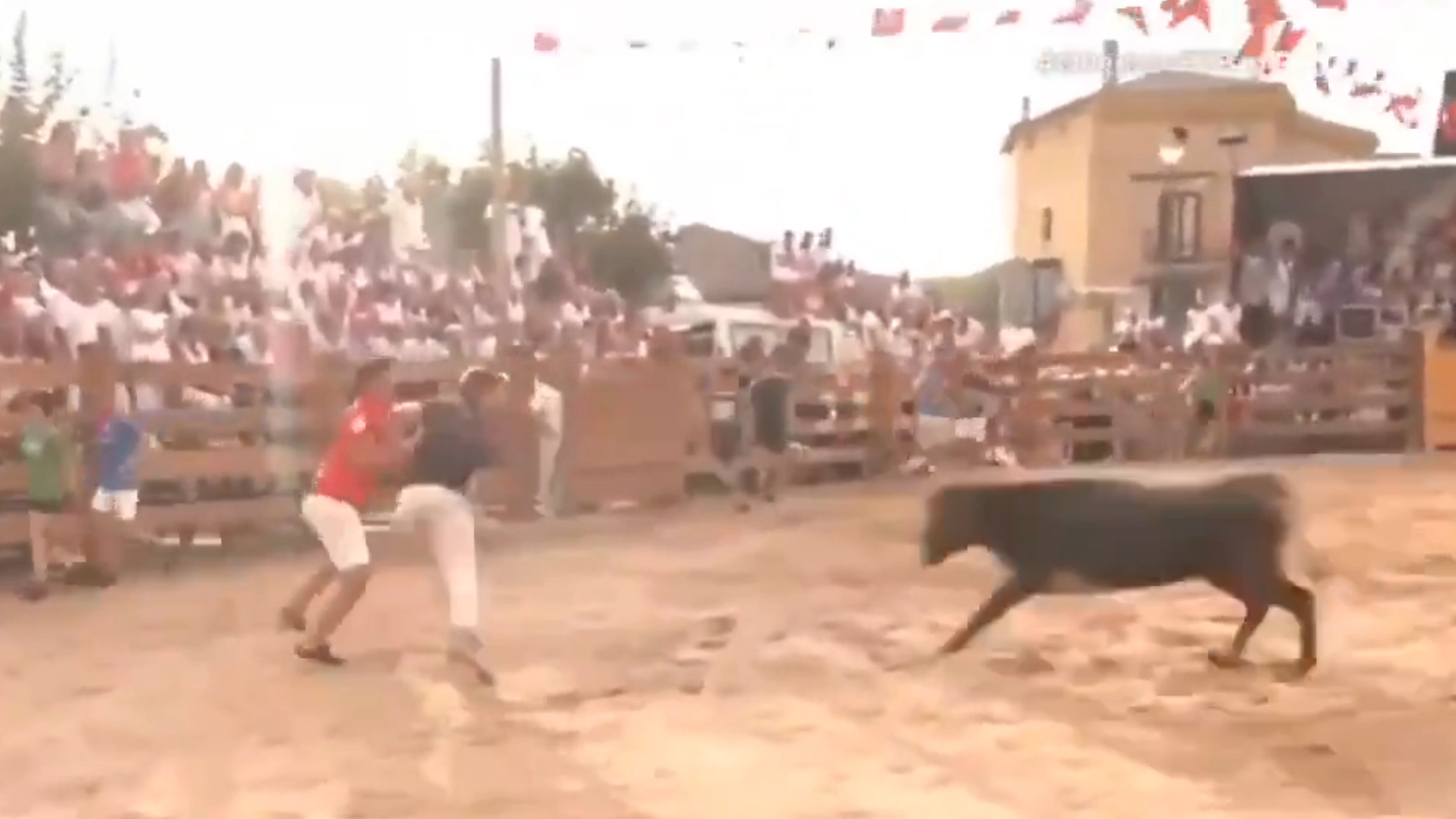 Shocking video shows moment reporter on live TV is dragged into bullfight and attacked by animal