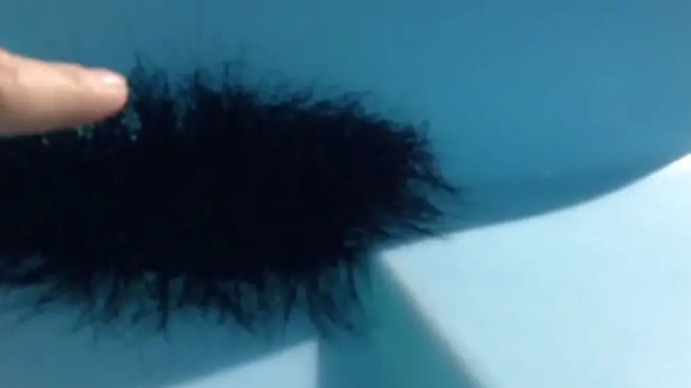 Man horrified after touching 'ball of fluff' to see what happens