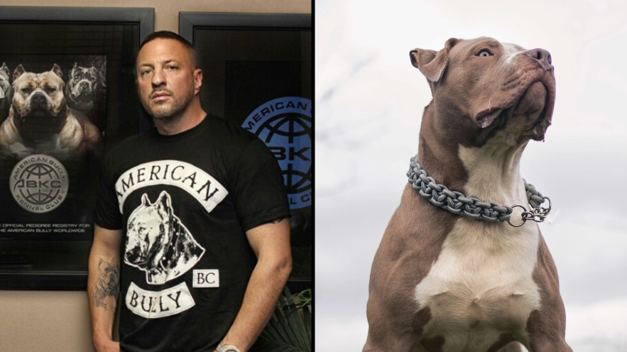 Man who created the XL bully explains why he did it