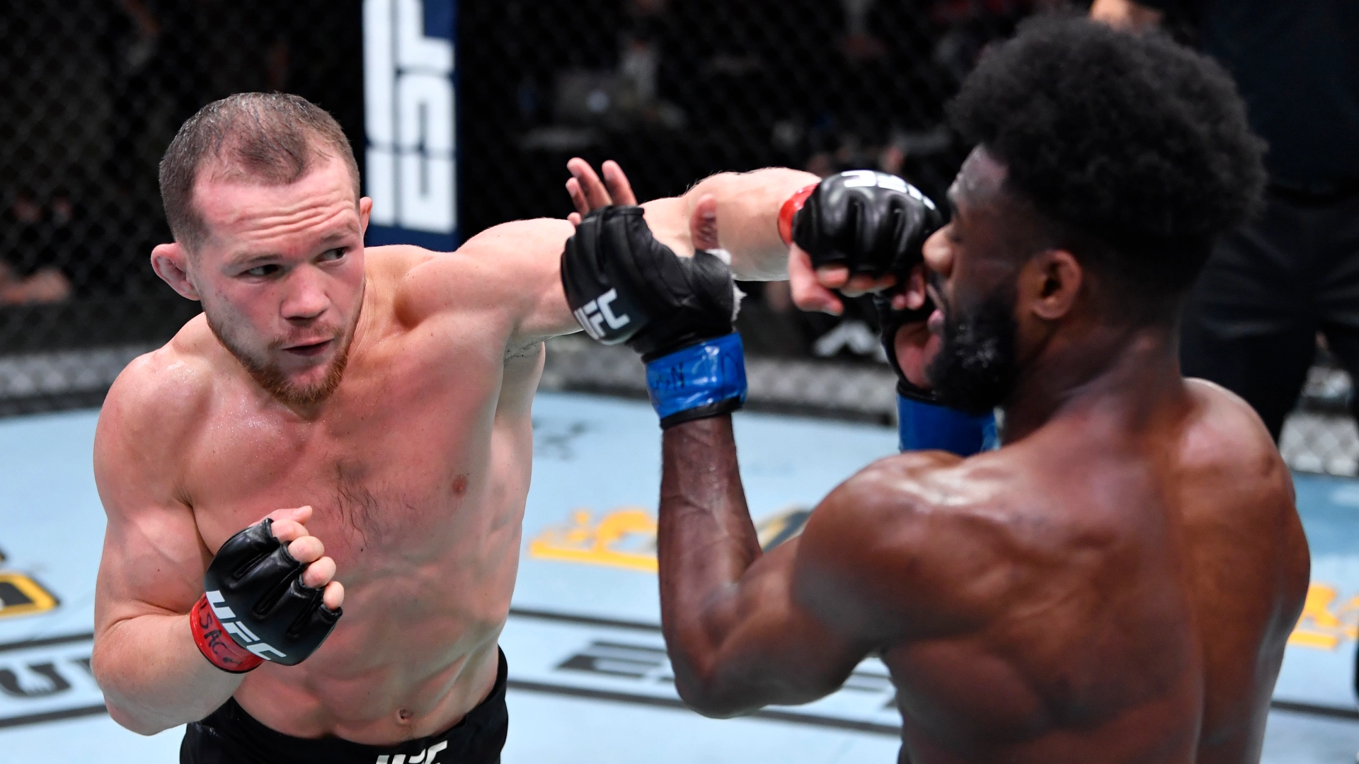 MMA set for controversial rule change as promotion requests return of move UFC banned
