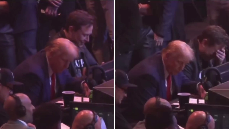 Fan footage captures what Elon Musk was doing cageside at UFC 309 and it's got people talking