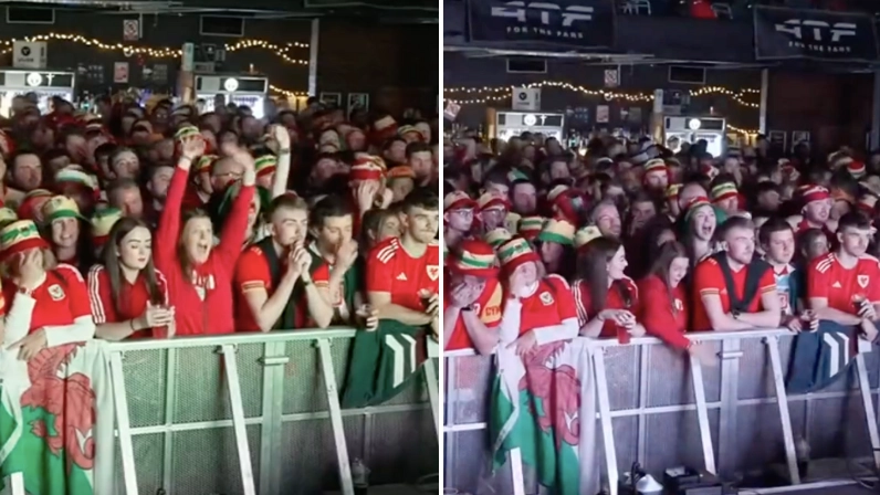 Footage shows lone England fan in Cardiff went mental celebrating goal vs Wales, it was very brave