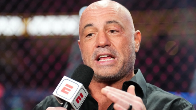 Comic who worked with Joe Rogan on TV show reveals surprise admission he made about the UFC