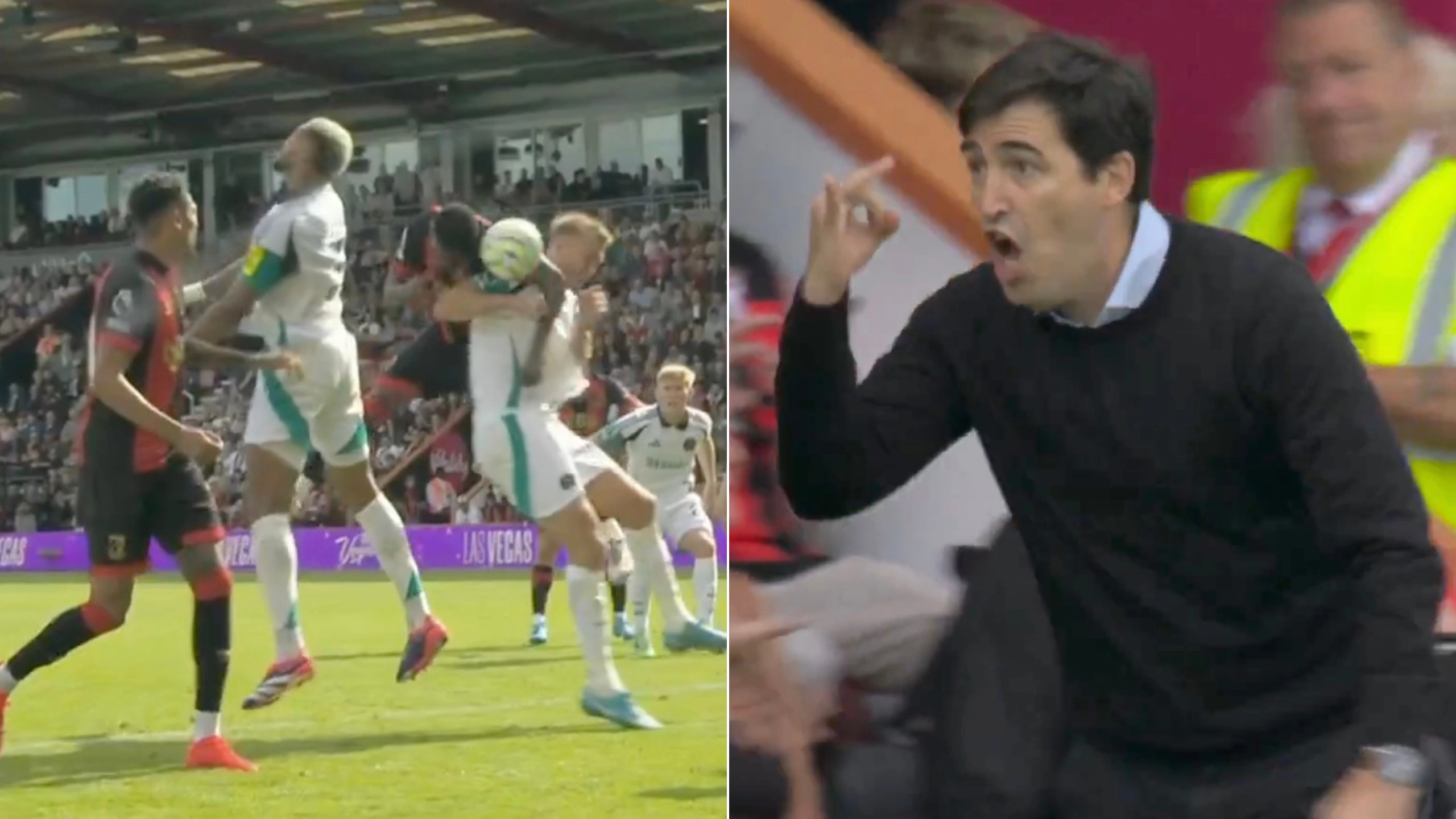 Fans have already seen enough of VAR this season as reason given for disallowed Bournemouth goal