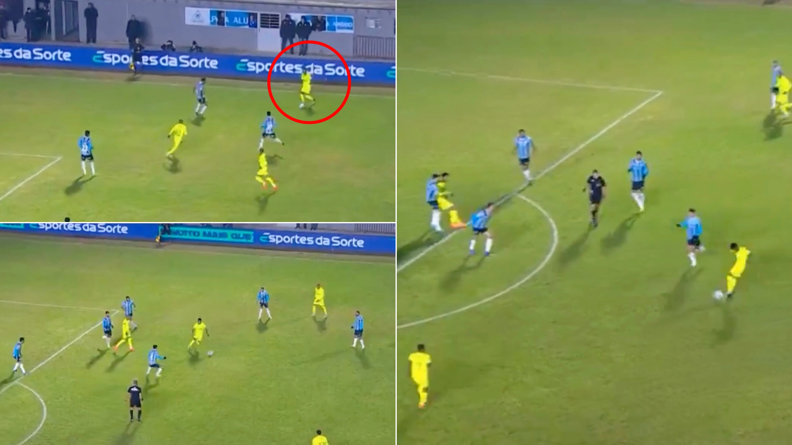 Chelsea fans are convinced they've signed the next big thing after 'Messinho' scores outrageous goal for Palmeiras