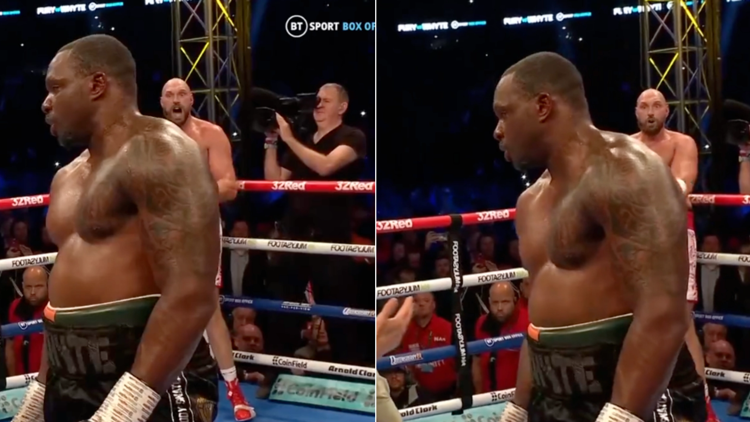 Tyson Fury Screamed At The Referee Not To Let Dillian Whyte Continue After Knockdown