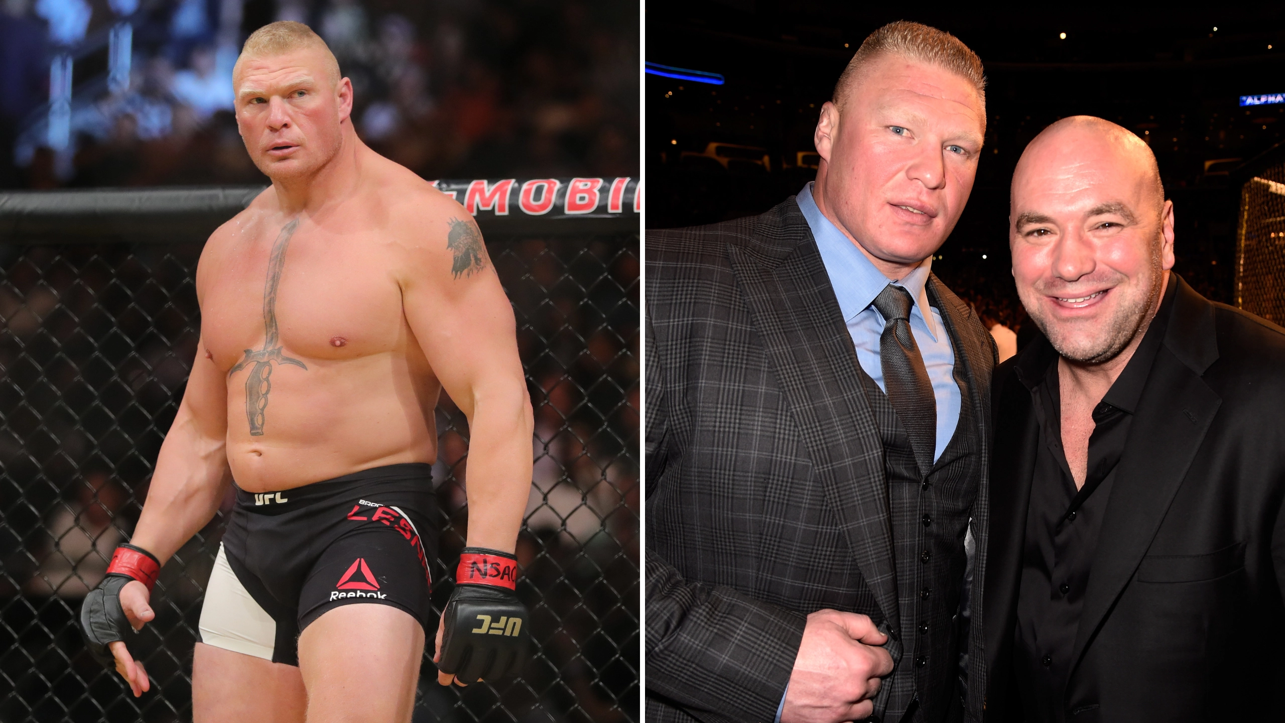 Brock Lesnar had UFC payslip 'leaked' after opponent claimed he was underpaid