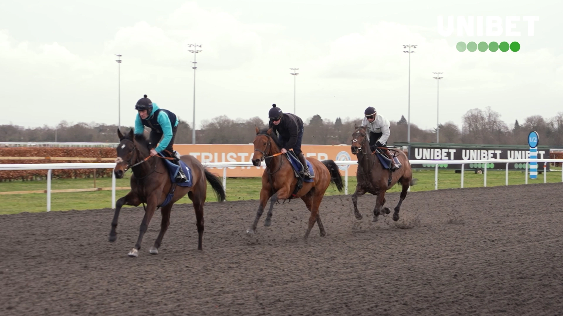 Cheltenham Preview with UNIBET ambassadors Nico De Boinville and Nicky Henderson