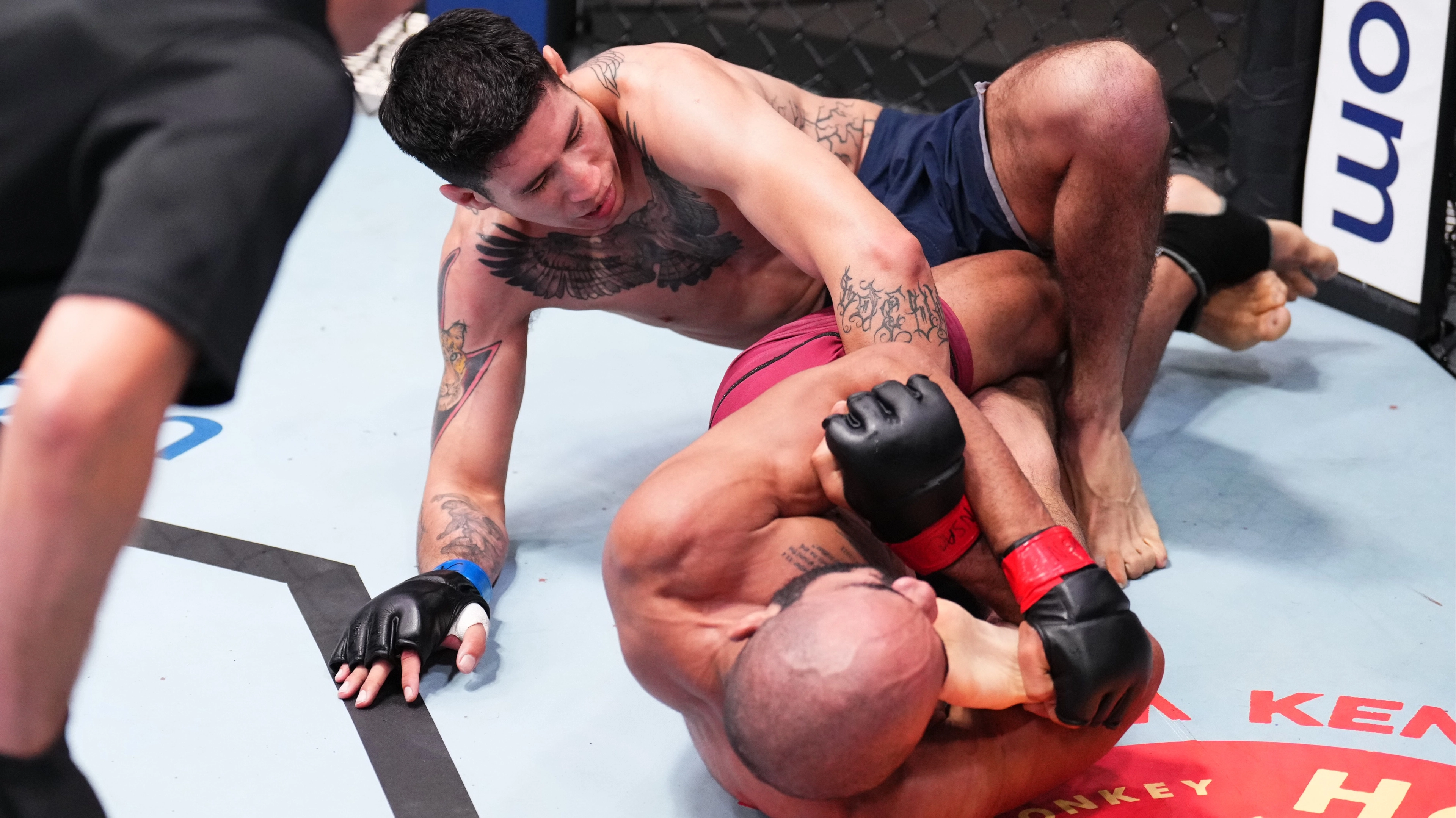 UFC Submission Used Just 16 Times Is So Brutal People Want It Banned