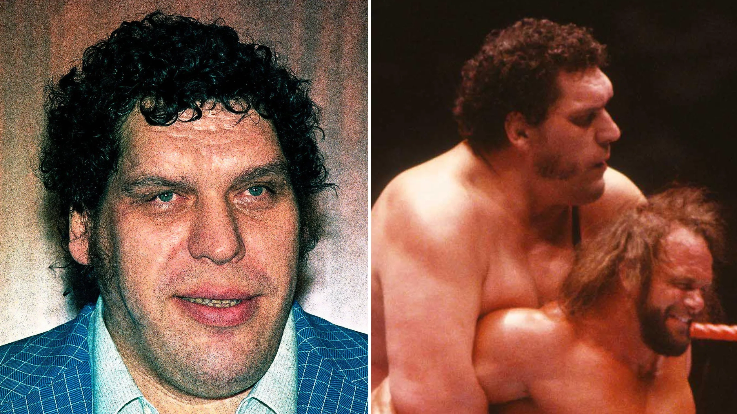 WWE legend Andre the Giant left fellow plane passengers 'gagging' after taking 'world's biggest poo'