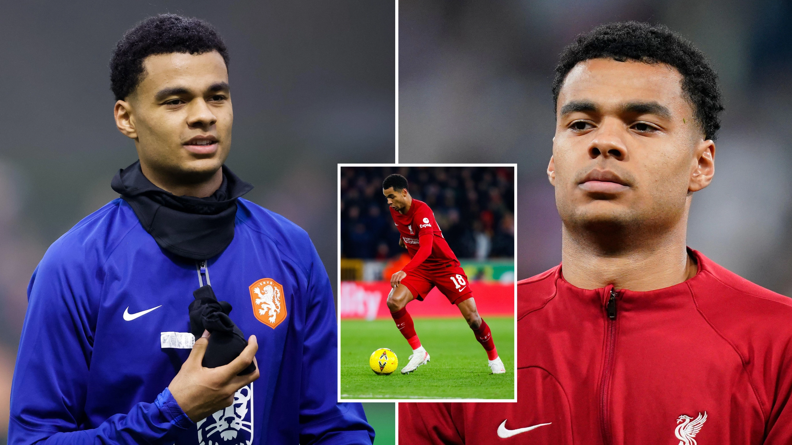 Liverpool forward Cody Gakpo pulls out of Netherlands squad, fans are worried