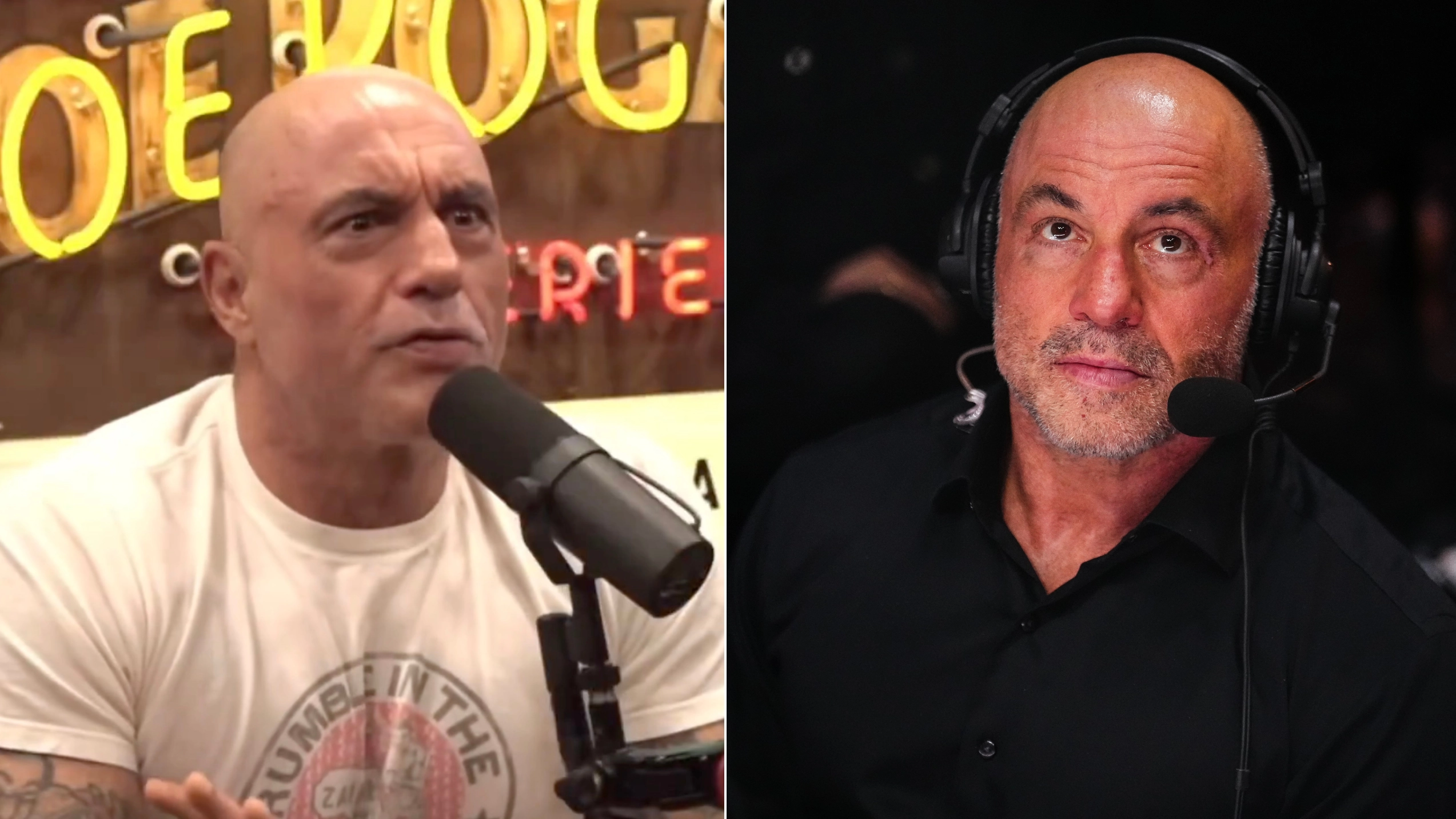 Joe Rogan reveals US presidential endorsement hours before start of election and it's divided UFC fans
