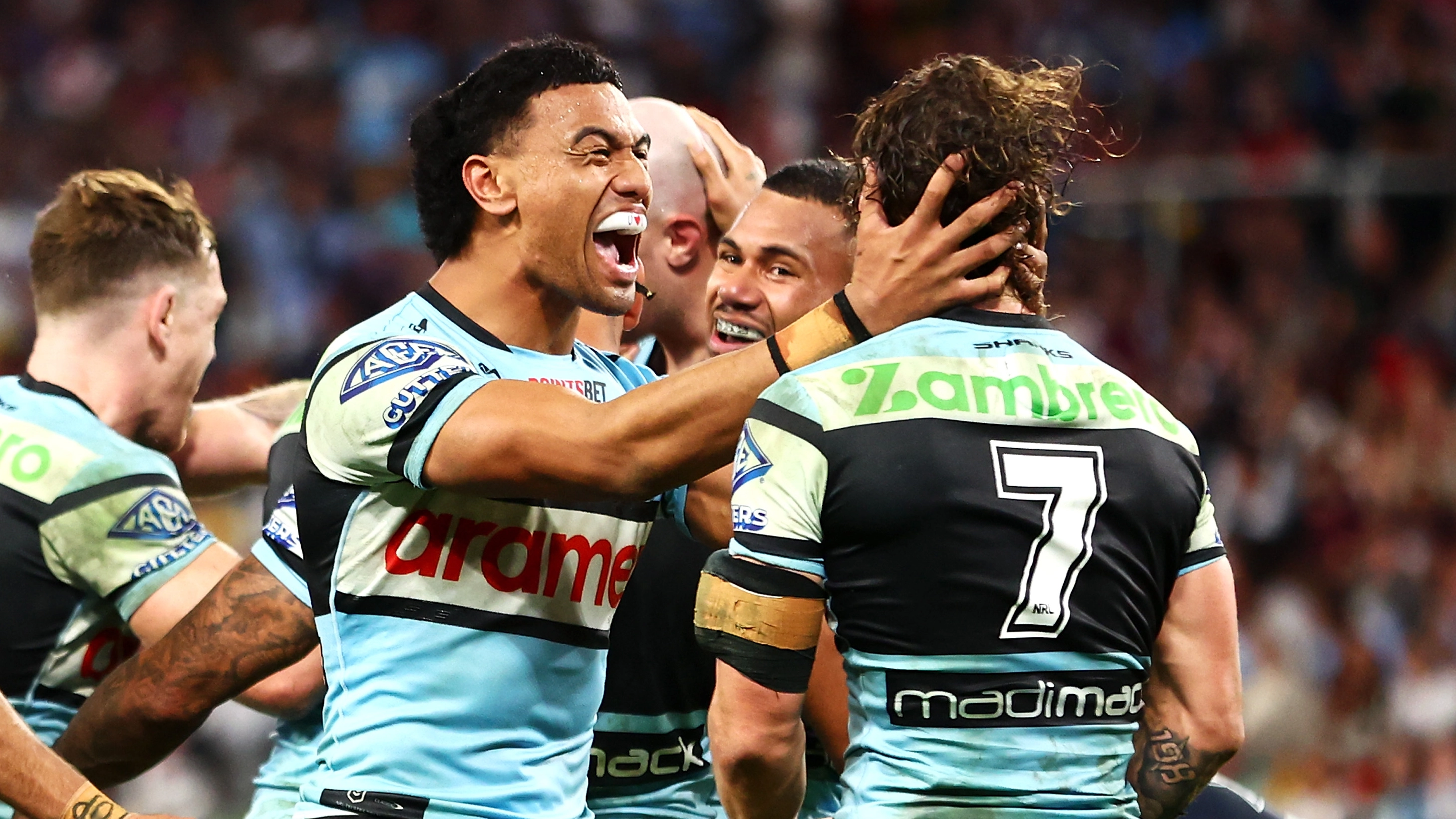 The Sharks are succeeding on every level in 2024