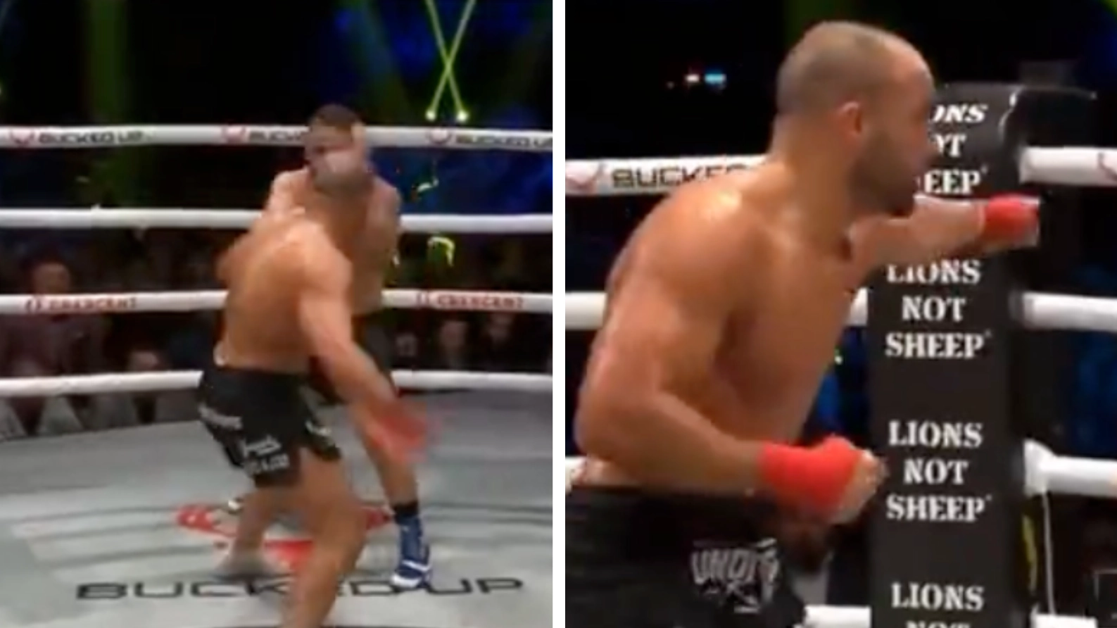 Fans notice Conor McGregor giving Eddie Alvarez advice seconds before he lands an uppercut at BKFC
