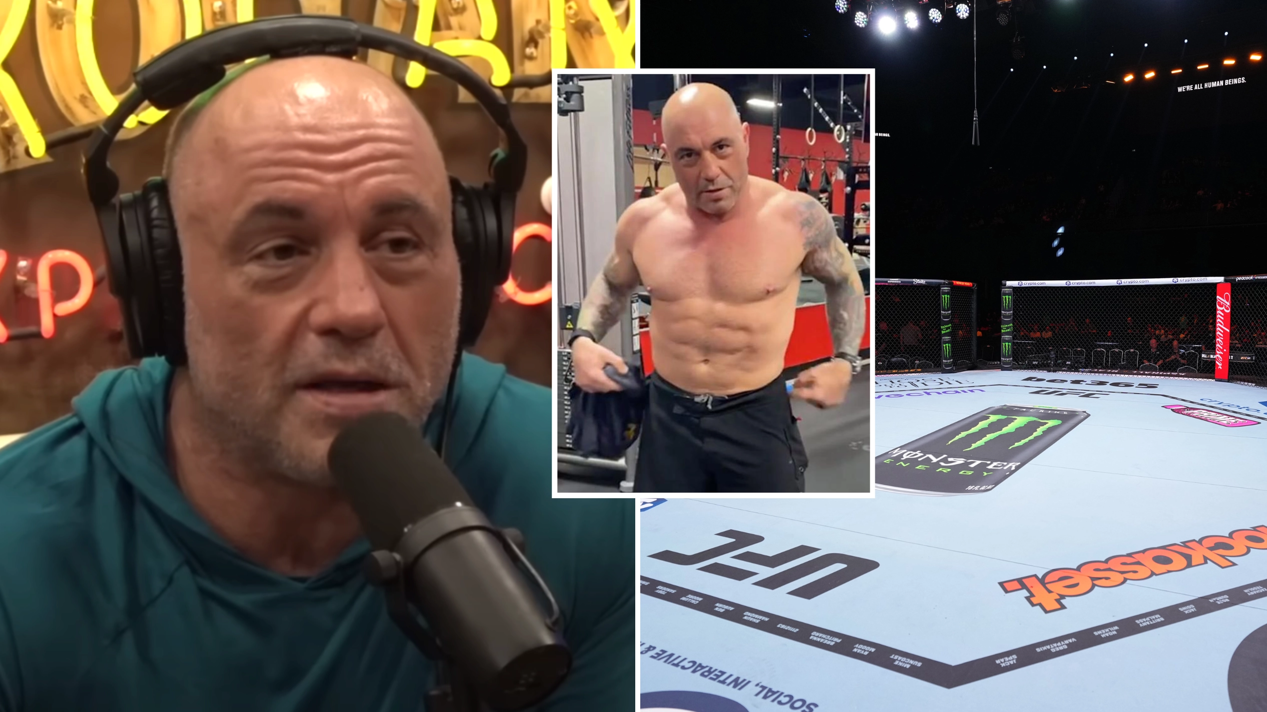 Joe Rogan names the Hollywood A-lister he almost fought in the UFC before he pulled out of fight
