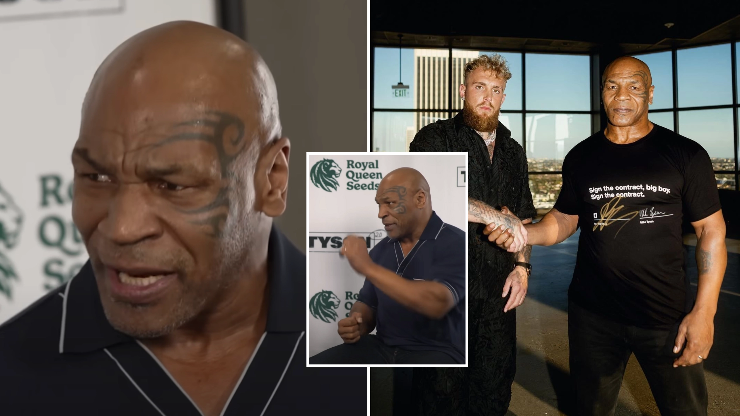Mike Tyson reveals the two things he's given up in radical lifestyle change before Jake Paul fight