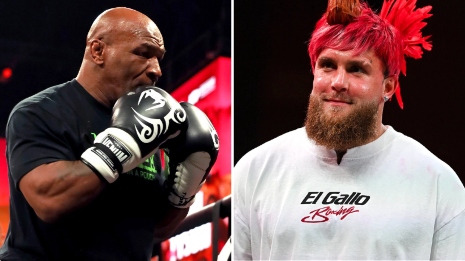 Jake Paul vs Mike Tyson viewers given £1,000 TV licence warning for streaming fight on Netflix