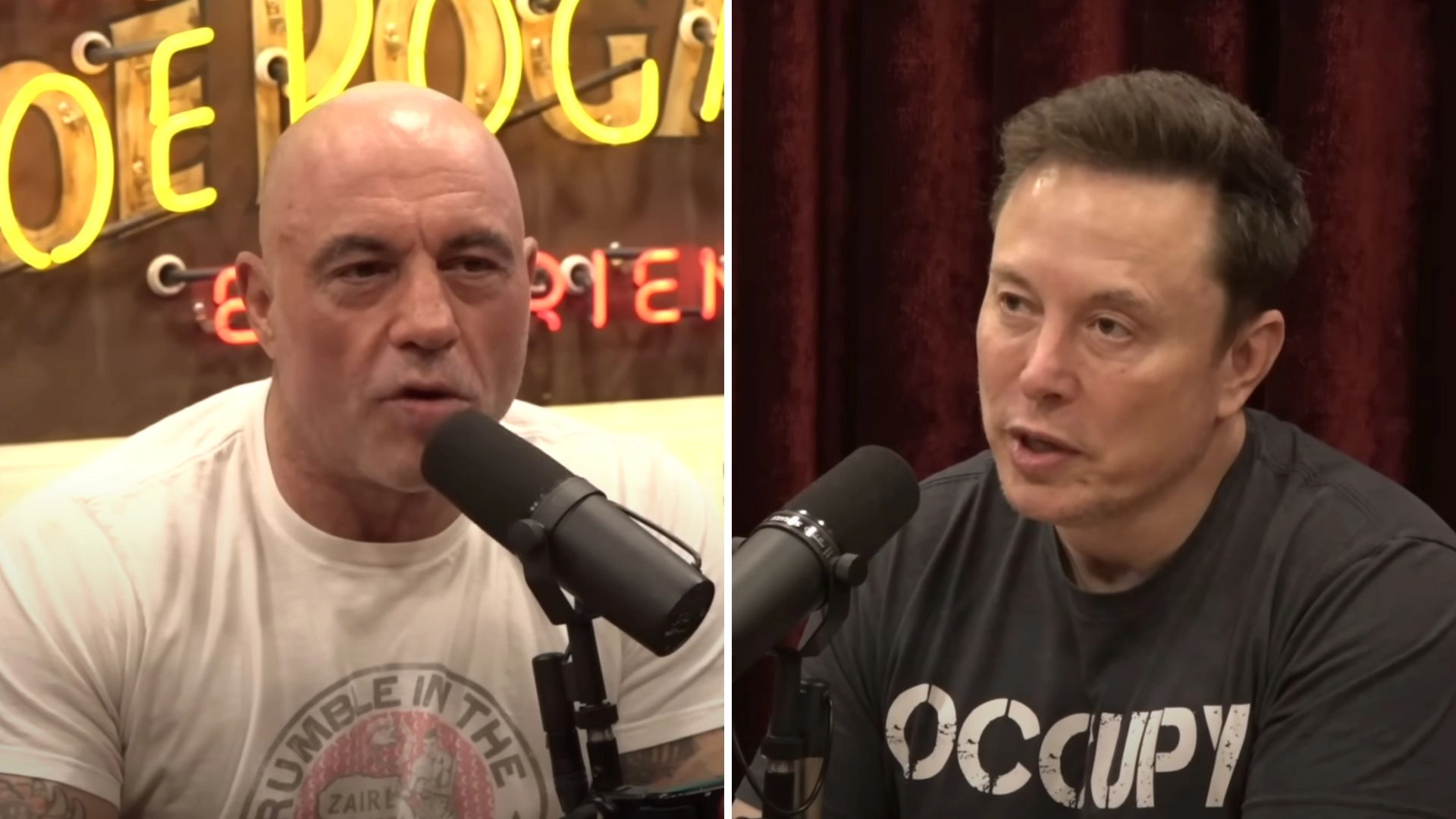 Joe Rogan revealed private text he immediately sent Elon Musk after he challenged Vladimir Putin to a fight