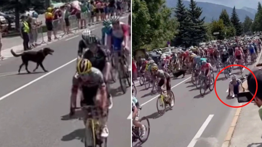 Dog Causes Huge Pile-Up By Running Onto Tour De France Track