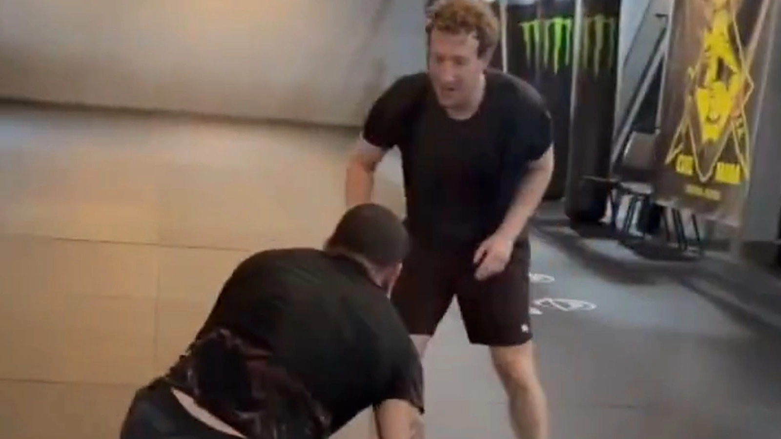 UFC Fans All Spot Same Detail in Mark Zuckerberg and Alex Pereira Training Clip