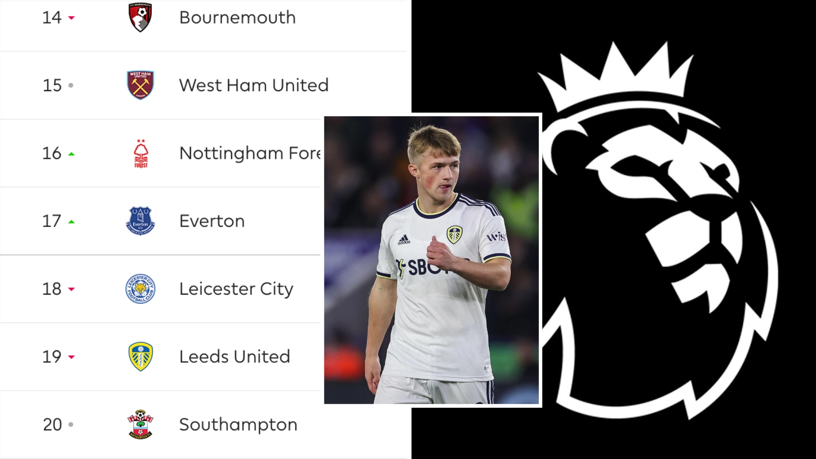 Premier League player could be relegated and promoted in the same season