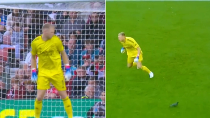 Arsenal fans think pigeon 'robbed them' of win against Southampton after new footage emerges