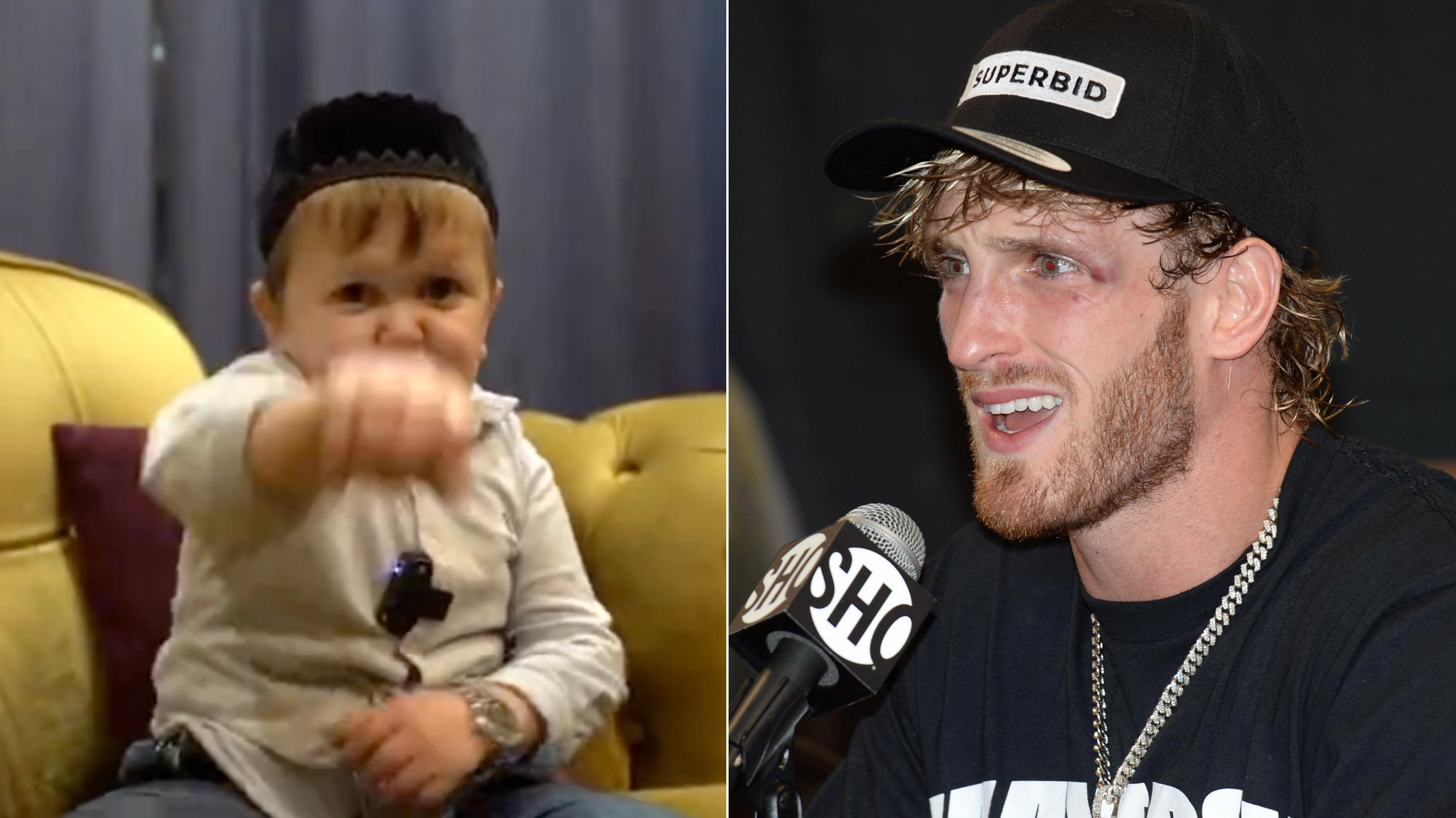 Hasbulla Calls Out Logan Paul For A Fight