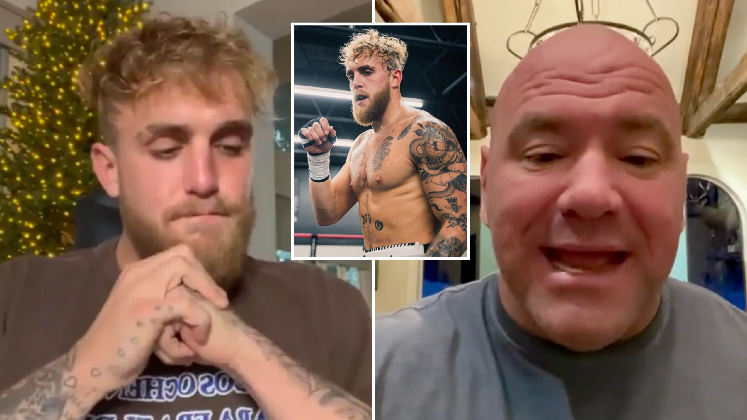 Jake Paul's Steroid Tests Leak Online After Public Drug Challenge From Dana White