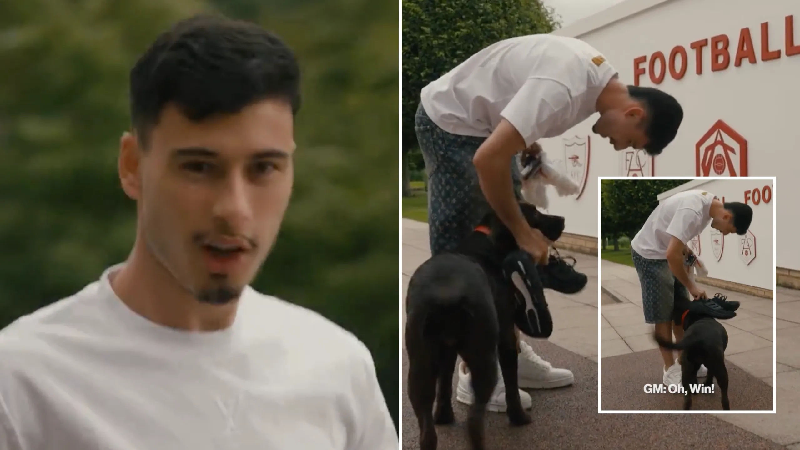Footage of Arsenal's training ground dog has finally emerged, It makes so much sense