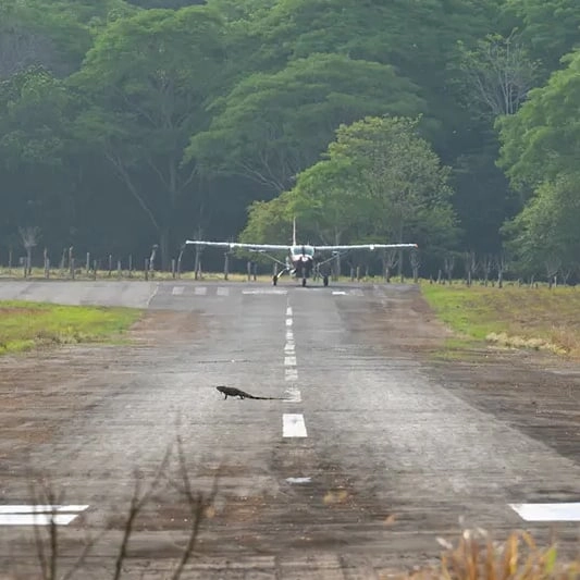 Bizarre isolated runway spotted in the middle of the jungle on Google Maps leaves people baffled