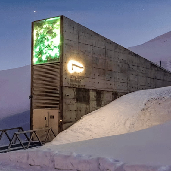 There's a 'doomsday' vault buried in the Arctic to protect Earth in apocalyptic event