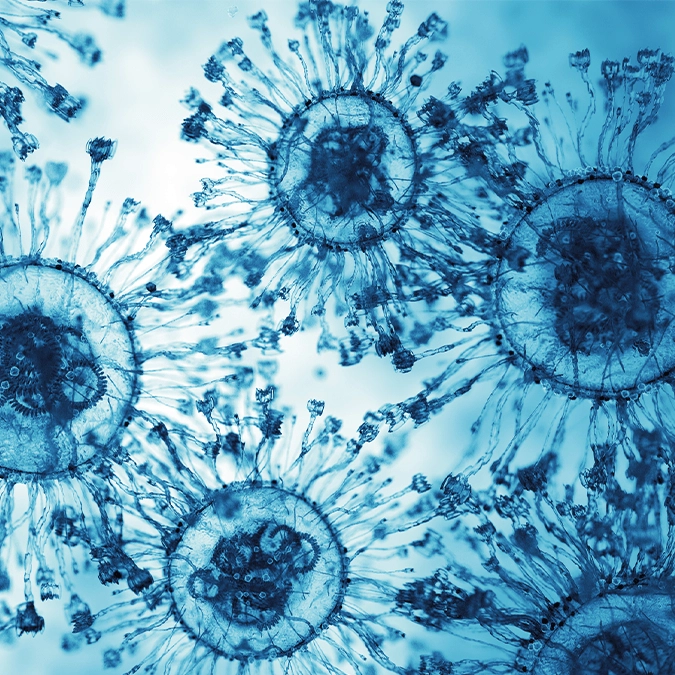 Scientists discover new alphacoronavirus with pandemic potential