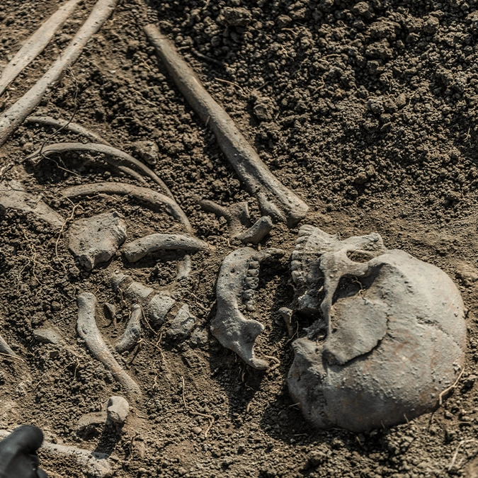 99% of human population was wiped out 900,000 years ago with 1,000 people repopulating the Earth, study says