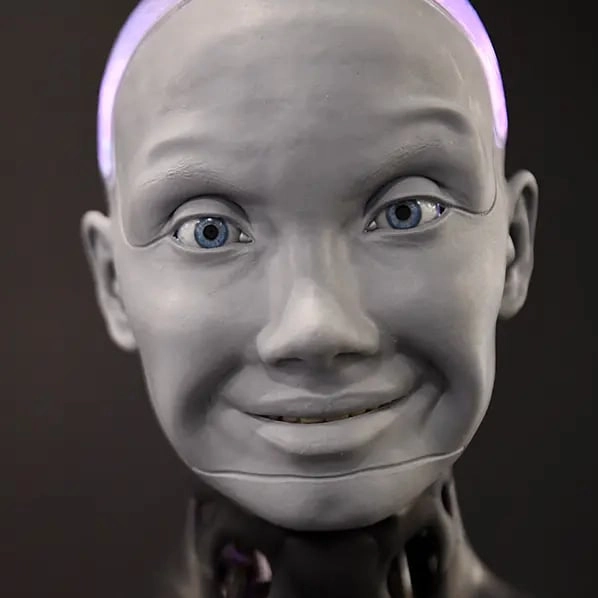 You can purchase the world's most advanced humanoid robot for $250,000 but you might not want to