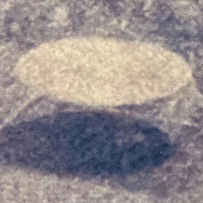 Pilot shares shocking photo of '1,000-ft UFO' as people all spot the same detail