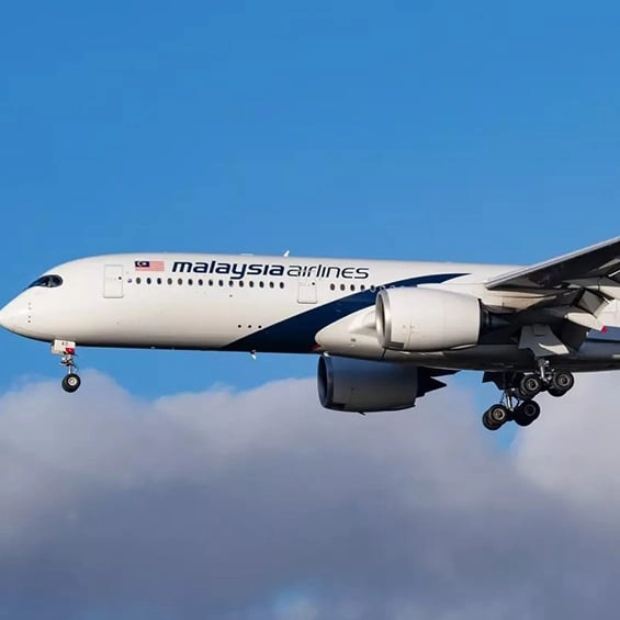 Expert claims he may have solved mystery of missing MH370 plane after sharing the 'perfect hiding place'