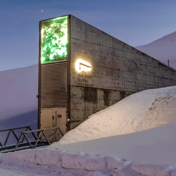 There's a 'doomsday' vault buried in the Arctic to protect Earth in apocalyptic event