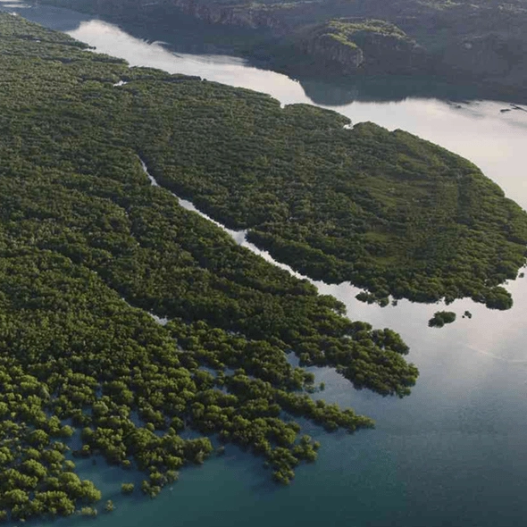 2,500,000 year-old lost colony found hidden off the coast of Australia was once full of human life