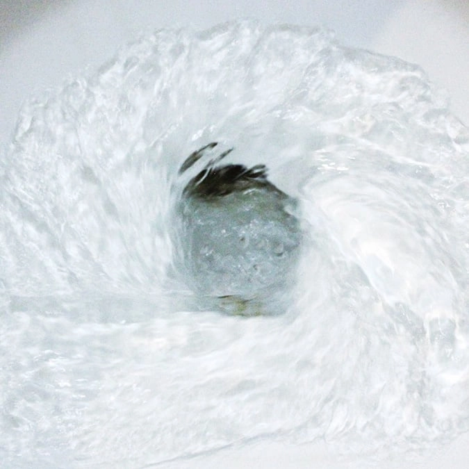 Insane ‘boil in a bag’ funerals that flushes bodies down the drain could be approved in country of 68,000,000 people