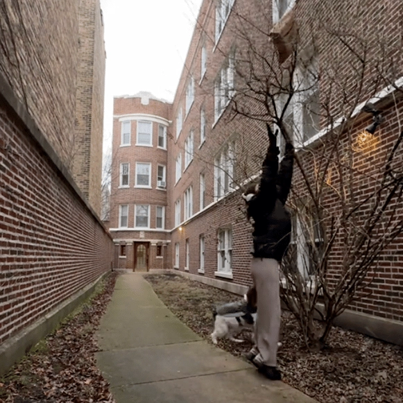 Amazon customer baffled after delivery driver tosses package into tree
