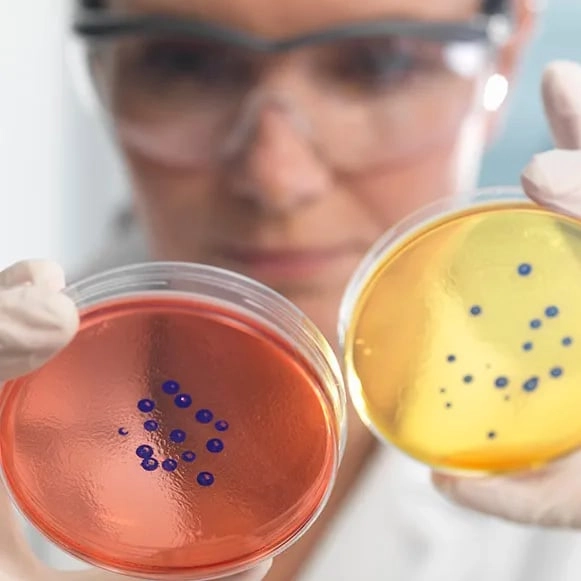 Scientists warn mysterious 'mirror life' bacteria could wipe out everything on Earth