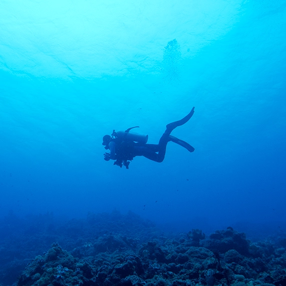 Strange 'clicking sound' heard thousands of feet beneath the ocean leaves scientists amazed