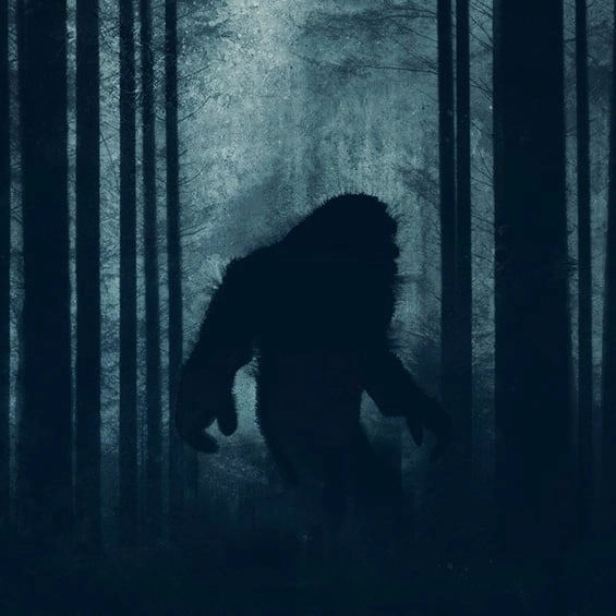 New footage of 'baby bigfoot' caught wandering the woods is insanely creepy
