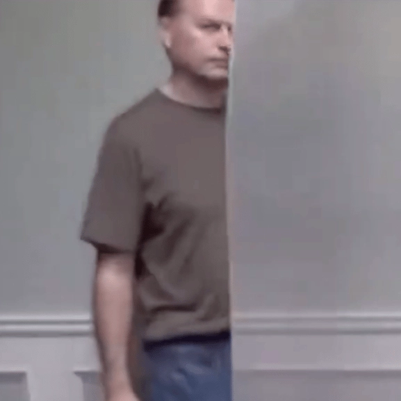 A real 'invisibility cloak' has been invented by Chinese scientists