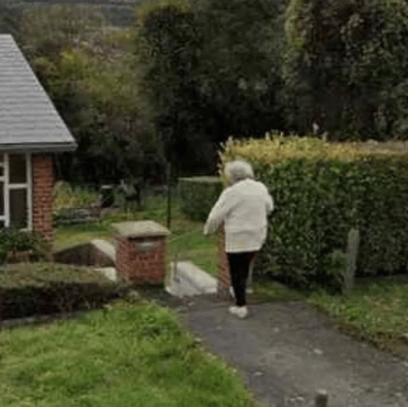Google Maps solved case of missing woman who disappeared 'without a trace' after accidentally capturing her chilling final moments