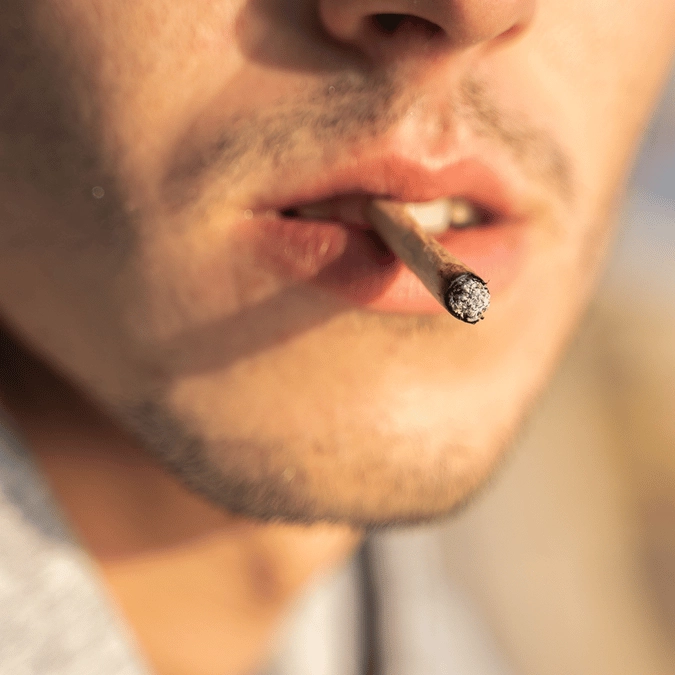 Shocking simulation reveals the impact of daily weed use on your body