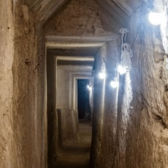 'Miracle' discovery made by archaeologists in ancient Egyptian tomb