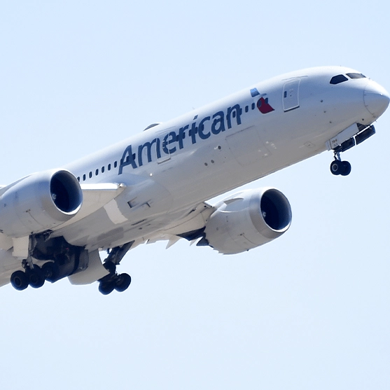 American Airlines impose new system guaranteed to get rid of 'gate lice'