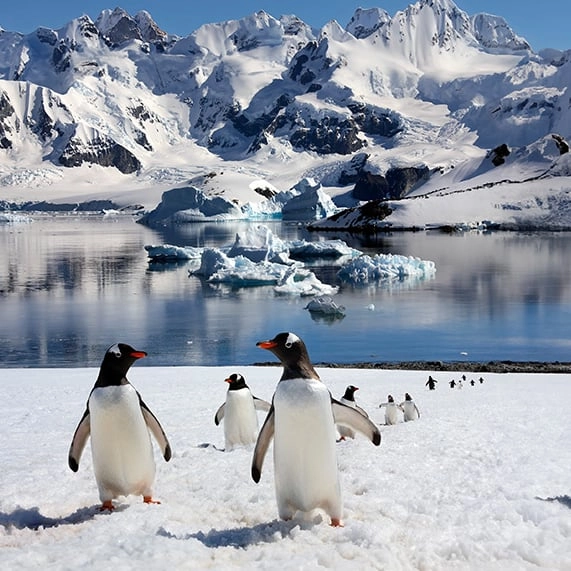 ‘One-In-A-2000-Year Event’ is taking place in the Antarctic and humans are likely to blame
